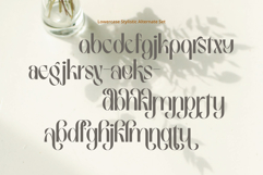 Birletus Display Font Duo Product Image 11