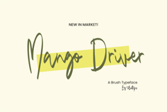 Mango Driver Brush Product Image 1