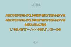 Fried chicken Product Image 4