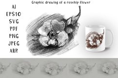 Rosehip flower pattern. AI UPS 10, SVG, PDF, PNG, JPEG, ABR.  Graphic pencil drawing with hatching.