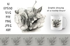 Rosehip flower pattern. AI UPS 10, SVG, PDF, PNG, JPEG, ABR.  Graphic pencil drawing with hatching.