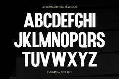 Hostero Product Image 6