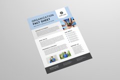 Nonprofit Organization Fact Sheet Product Image 3