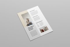 Event Flyer | MS Word &amp; Indesign Product Image 4
