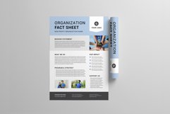 Nonprofit Organization Fact Sheet Product Image 4