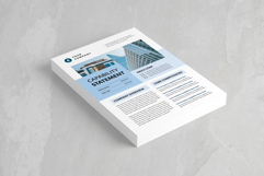 Capability Statement | Canva, MS Word, InDesign Product Image 2