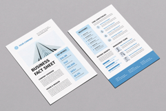 Business Fact Sheet | Canva, MS Word, InDesign Product Image 2