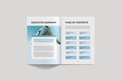 Capability Statement | Canva, MS Word, InDesign Product Image 2