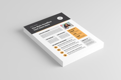 Business One Pager Template Product Image 2