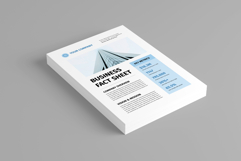 Business Fact Sheet | Canva, MS Word, InDesign Product Image 3