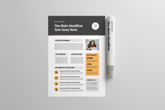 Business One Pager Template Product Image 4
