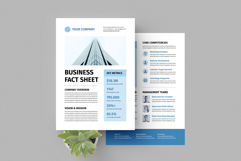 Business Fact Sheet | Canva, MS Word, InDesign Product Image 5