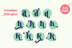 Kind Breakout-Retro Serif Typeface Product Image 16