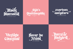 Kind Breakout-Retro Serif Typeface Product Image 8