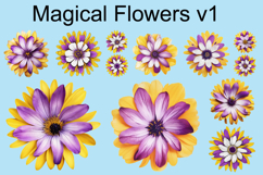 Magical Flowers Product Image 1