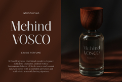 Maglenz Serif Family Product Image 2