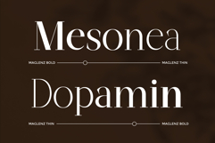 Maglenz Serif Family Product Image 5