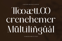 Maglenz Serif Family Product Image 9