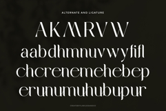 Mebiola Product Image 9