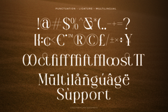 Mustyserif - Family serif Font Product Image 10