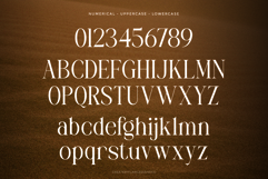 Mustyserif - Family serif Font Product Image 9