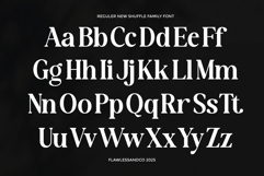 New Shuffle Family Font Product Image 7