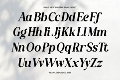 New Shuffle Family Font Product Image 8