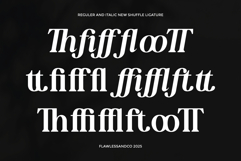 New Shuffle Family Font Product Image 9