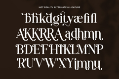 Not Reality Product Image 9