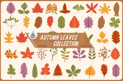 Preview-of-45-Autumn-Fall-Leaves-colorful-set-oak-tree-maple-tee-and-others on retro background