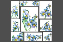 9 POSTCARDS / Visual art. WATERCOLOR Daffodils.