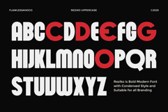 Reziko Product Image 6