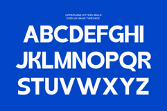 Ritteru Product Image 6