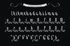 Roslenk Product Image 9