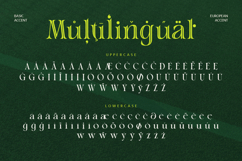 Sahron - Elegant Serif with Inline Style Product Image 9