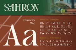 Sahron - Elegant Serif with Inline Style Product Image 2