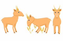 Set Collection Flat Animal Different Saigas Concept Vector Product Image 1