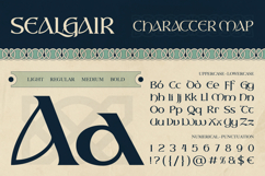 Sealgair Product Image 2