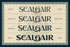 Sealgair Product Image 4