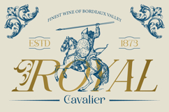 Shaprone Product Image 3