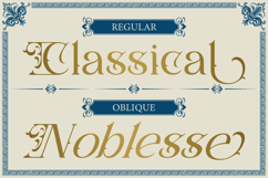 Shaprone Product Image 4