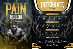 Singha Prestige Product Image 8