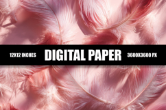 Pink Feather Digital Paper Product Image 1