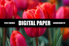 Floral Digital Paper Product Image 1
