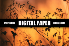 Sunrise or Sunset Digital Paper Product Image 1