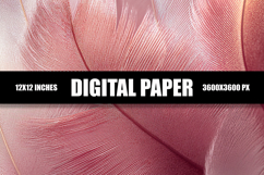 Pink Feather Digital Paper Product Image 1