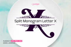 Flourish Ornament Split Monogram Letter X Product Image 1