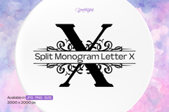 Flourish Ornament Split Monogram Letter X Product Image 1
