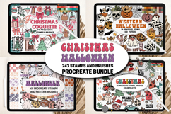 Western Procreate Stamps and Brushes Bundle Product Image 1