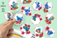 12 STICKERS in PNG/Retro watercolor red flowers, butterflies Product Image 1